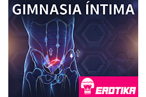 Ilustración médica digital de la anatomía del torso masculino resaltando los músculos del suelo pélvico en un fondo tecnológico azul oscuro con patrones hexagonales.