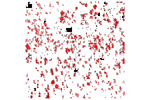 ogo Erotika Love Store sucursal Newton Polanco