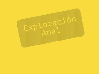 Kit de exploración anal gradual principiante experto, incluye plugs de silicona, lubricante a base de agua y douche.